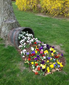 colorful flowers are growing out of the ground in front of a wooden barrel on grass