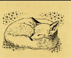 a drawing of a sleeping fox with stars in the background