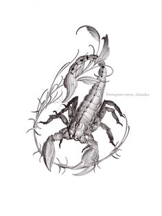 a black and white drawing of a scorpion