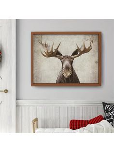 a framed photograph of a moose with antlers on it's head hangs above a bed