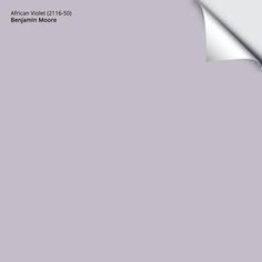 an image of a purple background with white paper