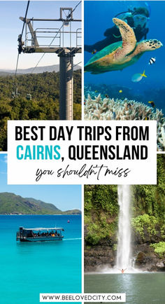 the best day trips from cairns, queensland you should miss