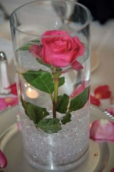 a pink rose is in a glass filled with water