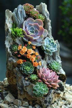 there are many succulents growing out of the rocks