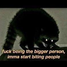 a raccoon is standing on top of a piece of paper with the caption'f k being the bigger person, imma start biting people