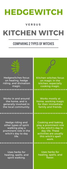 Different Types Of Witches, Witch Info, Types Of Witches, Hedge Witchery, Witch Herbs, Which Witch, Folk Magic, Witch Garden, Kitchen Witchery