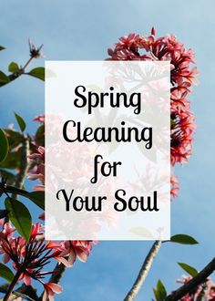 the words spring cleaning for your soul against a blue sky with pink flowers and leaves