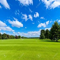 a beautiful green field with trees and blue sky in the background stock photo - 9197