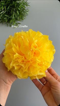 a person holding a yellow flower in their hand