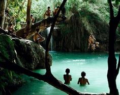 some people are swimming in the water near rocks and tree branches, while others look on