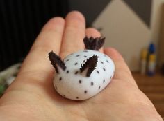 a hand holding a tiny white and brown object