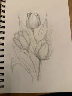 a pencil drawing of some flowers on a piece of paper that is sitting on a table