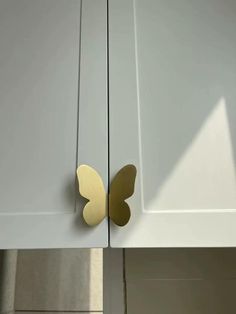 a close up of a cabinet door with a butterfly on the front and back doors