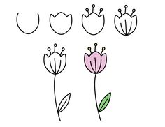 four different flowers with leaves on the stems and one flower in the middle, all drawn by hand