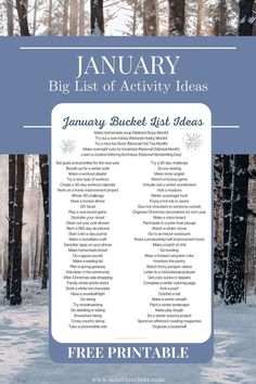 the january bucket list is shown in blue and white, with snow covered trees behind it