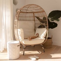 a cat sitting in a hanging chair next to a plant and a trash can on the floor