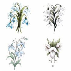 four different types of flowers are shown in this drawing style, including bluebells and snowdrops