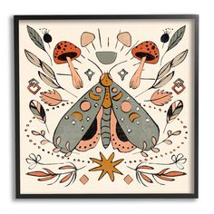 a framed print with an image of a moth on it