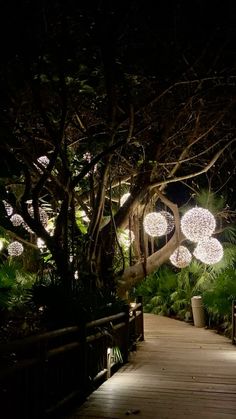 the walkway is lit up at night with lights hanging from it's branches and trees