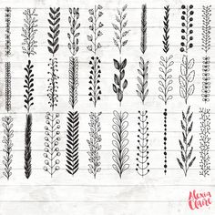 an assortment of hand drawn plants on a white wooden background with the words, plant identification