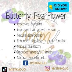 the benefits of butterfly pea flower for hair and body care, including natural ingredients to help with