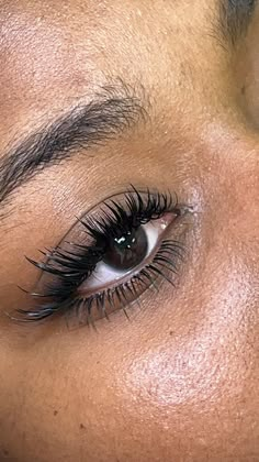 Classic Eyelash Extensions Wet Look, Wet Lashes Look Extensions Doll Eye, Cat Eye Wet Look Lash Extensions, Hybrid Lash Extensions Wet Look, Wet Lashes Look Extensions Cat Eye, Wet Eyelash Extensions, Wet Look Lash Extensions, Inspi Makeup