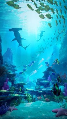 an underwater scene with many different types of fish