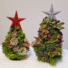 two christmas trees made out of succulents and plants