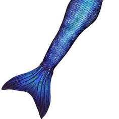 an image of a blue mermaid tail on a white background