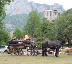 a horse pulling a carriage with people in it on a grassy field next to mountains