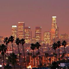 the city skyline is lit up at night, with palm trees in front of it