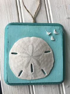 a white sand dollar sitting on top of a blue plaque with birds flying around it