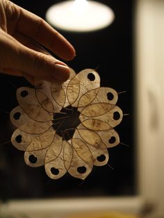 a hand holding a piece of wood with holes in it