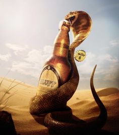 a snake wrapped around a beer bottle in the middle of sand dunes with a clock on it's side