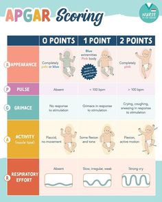 the baby's stages are shown in this chart, which shows how to use their body