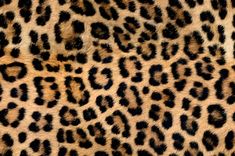 an animal print pattern is shown in black and brown colors, with spots on the fur