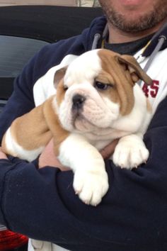 a man holding a brown and white puppy in his arms