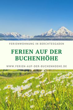 a field with daisies and mountains in the background text reads ferienn auf der buchenhoe