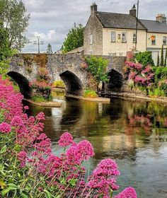 flowers are blooming in the foreground, and a bridge over a river is shown