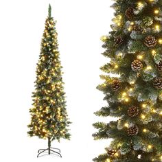 two christmas trees with lights on them next to each other