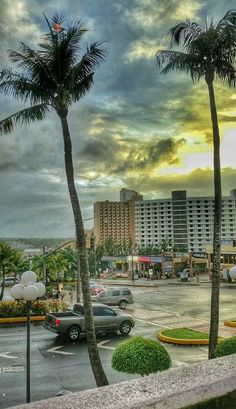 cars are parked on the street in front of buildings and palm trees, with a cloudy sky