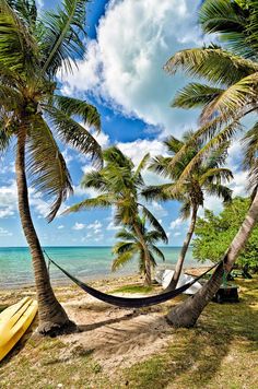 a hammock between two palm trees on the beach with a kayak in the foreground