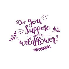 the phrase do you suppose she's wildflower? in purple lettering on a white background