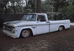 an old white pickup truck parked in a wooded area with trees and bushes behind it