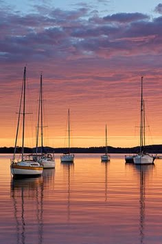 several sailboats are docked in the water at sunset, with pink and purple clouds