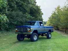 a blue pick up truck parked on top of a lush green field next to trees