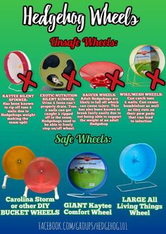 the flyer for an upcoming event with different types of frisbees and disc golf discs