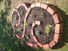 a circular brick garden bed with plants growing in it