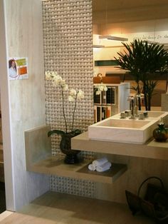 a bathroom with two sinks and a plant in the corner next to it on top of some shelves