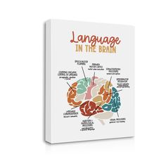 the book language in the brain with an image of its parts and functions on it